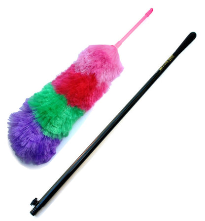 Static Duster with Extension Pole